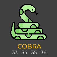 8.png